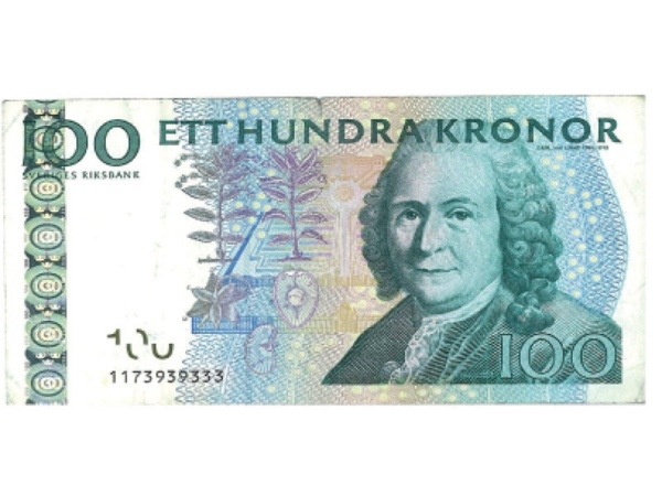 100-swedish-crowns-hundralapp-anna-s-diary