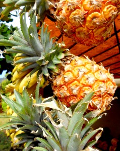 ananas