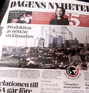 dn