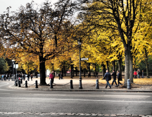 autumn-in-berlin