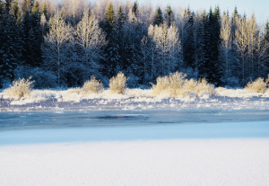 winter